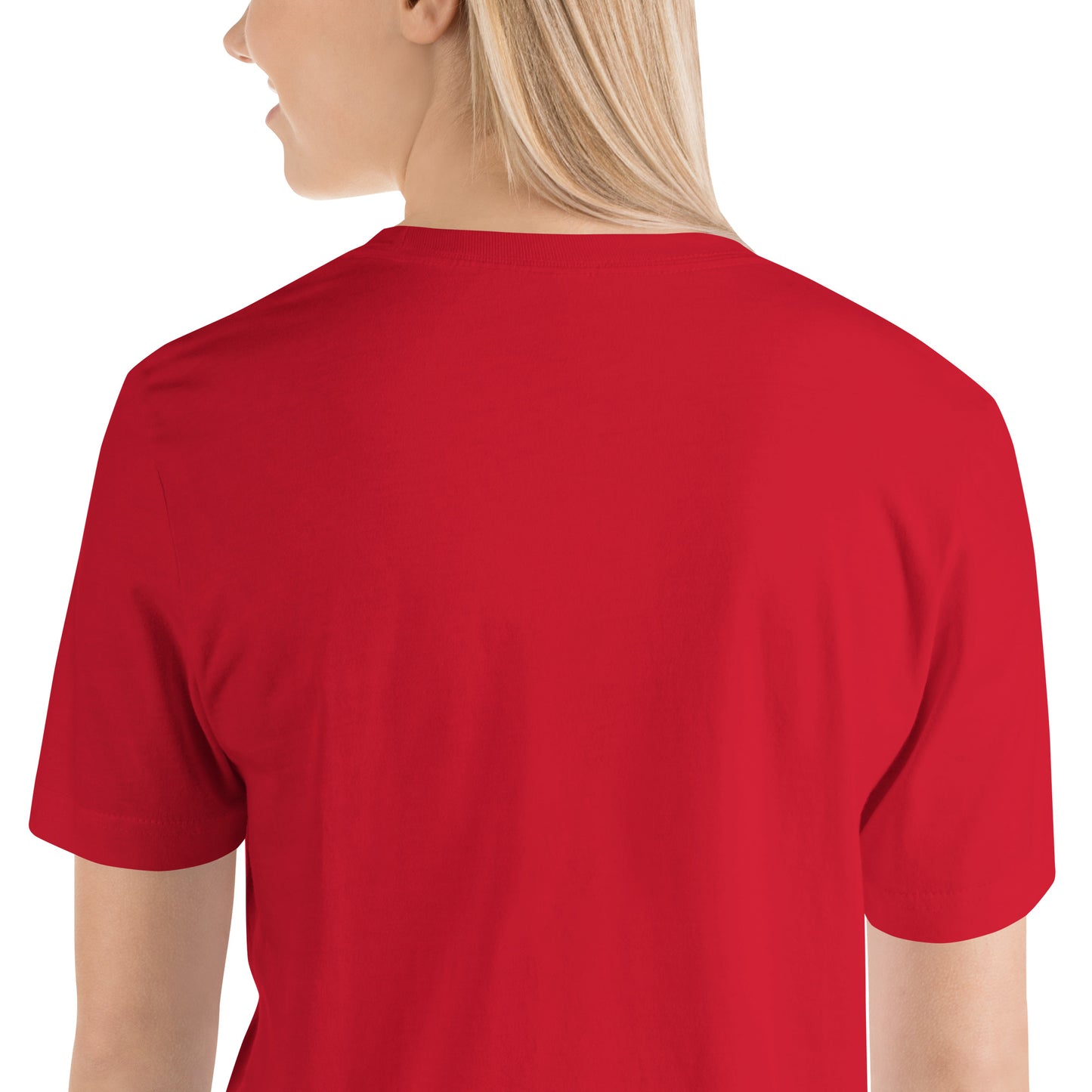 Read Queer Books Unisex T-Shirt (Transgender Colors)